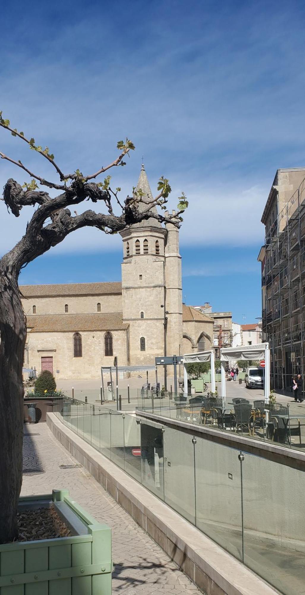 Le Patio, Climatisation Terrasse Wi-Fi Netflix 15 Mn Coeur De Ville Béziers Exterior foto